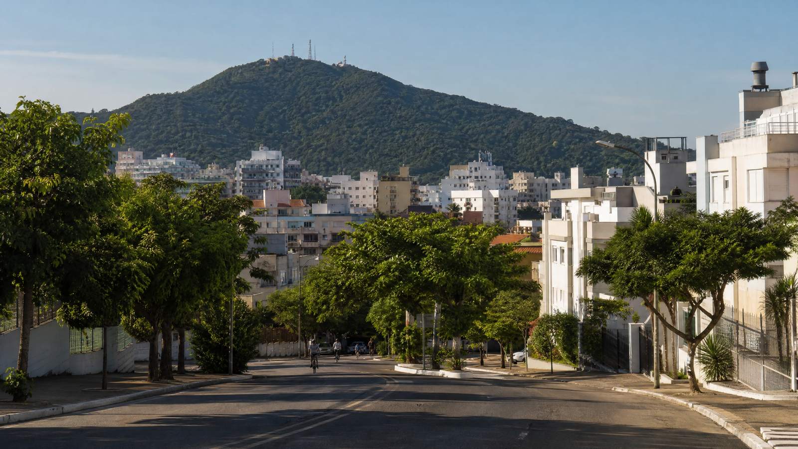 Rua arborizada da Trindade, perto da UFSC, com prédios baixos e o Morro da Cruz ao fundo.