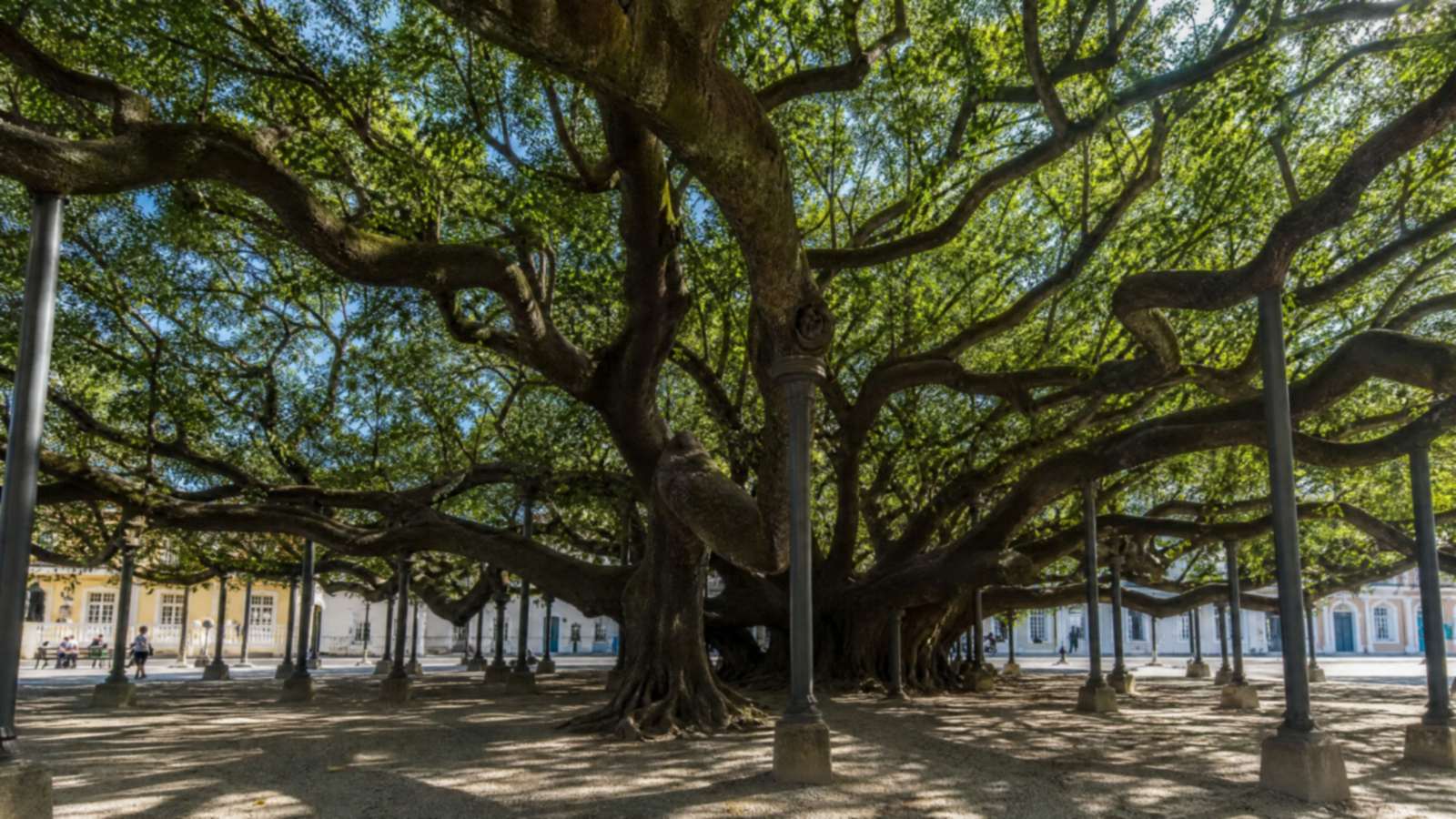 Florianópolis, Norte da Ilha