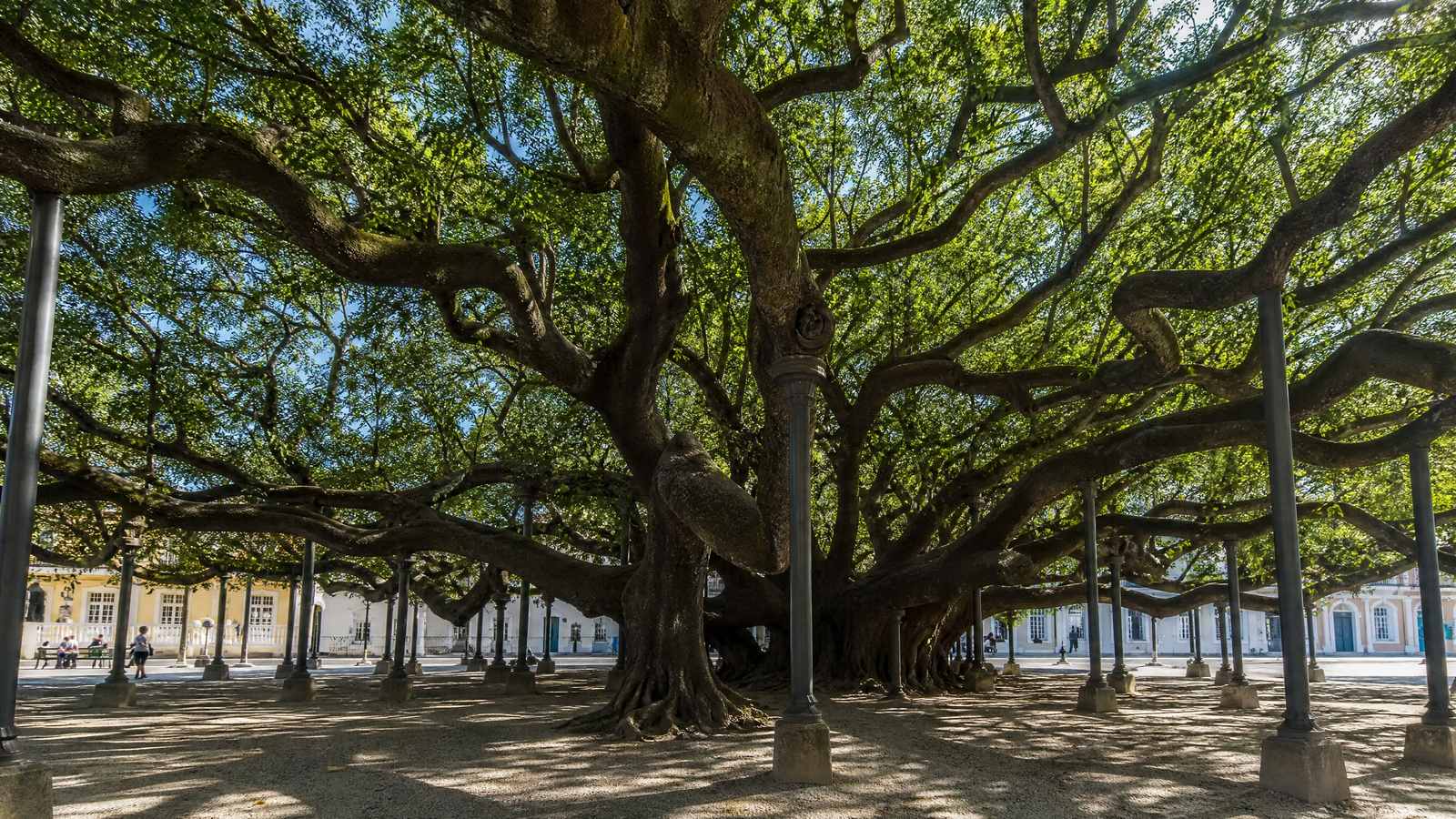 Florianópolis, Norte de la Isla
